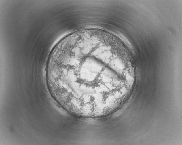 X0000114650814200911171049