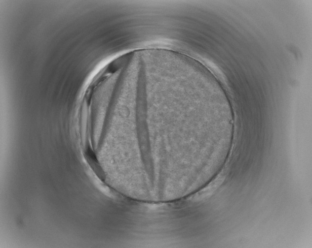 X0000114650816200911171049