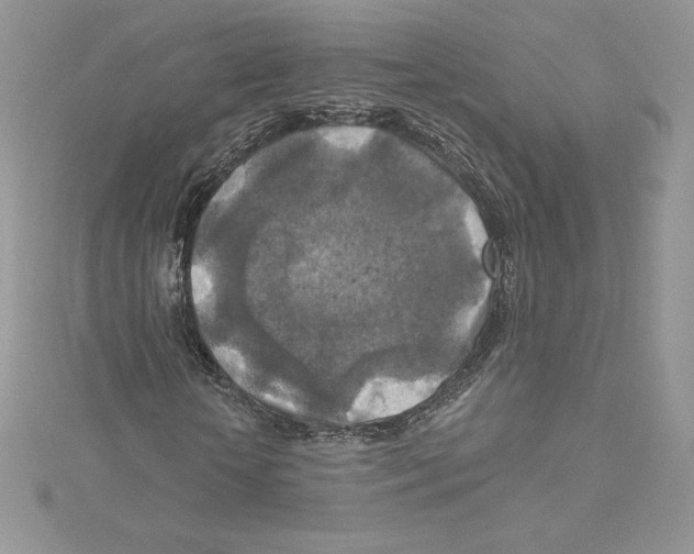 X0000114650818200911171048