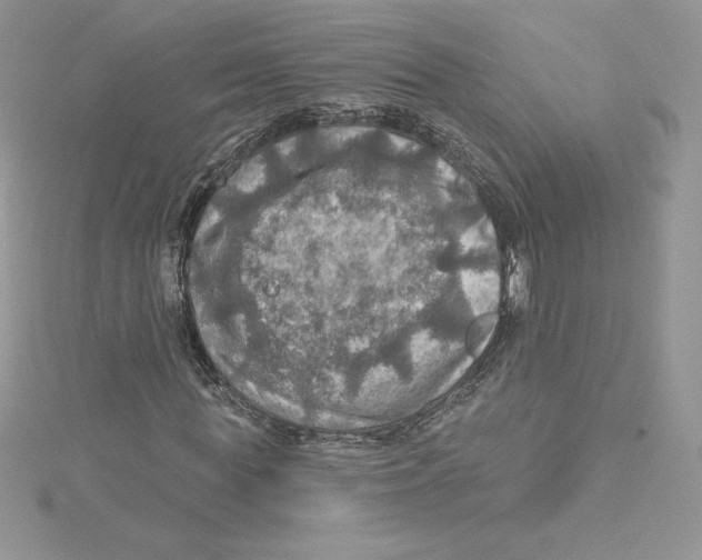 X0000114650819200911171048