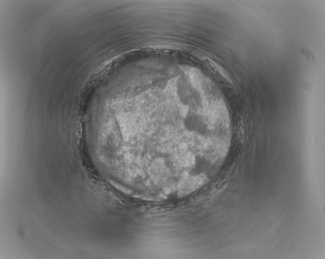 X0000114650821200911171048