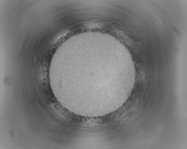 X0000114650824200911171048