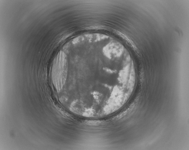 X0000114650825200911171048