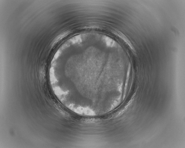 X0000114650826200911171048