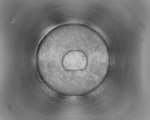 X0000114650828200911171048