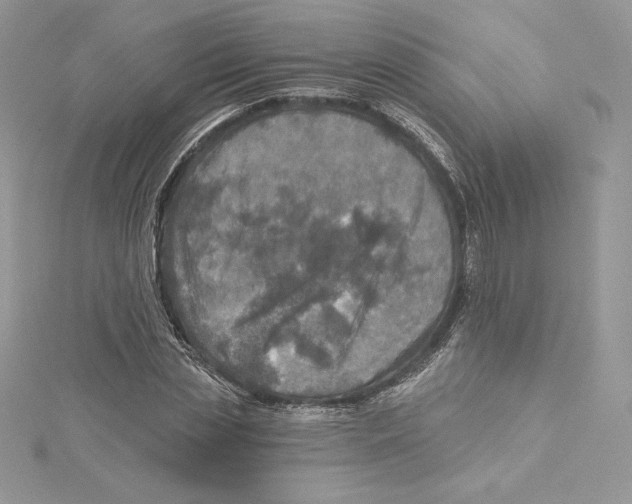 X0000114650829200911171048