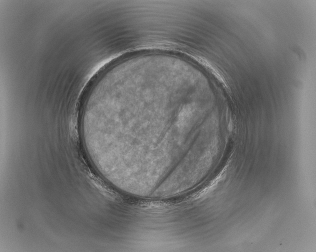 X0000114650830200911171048