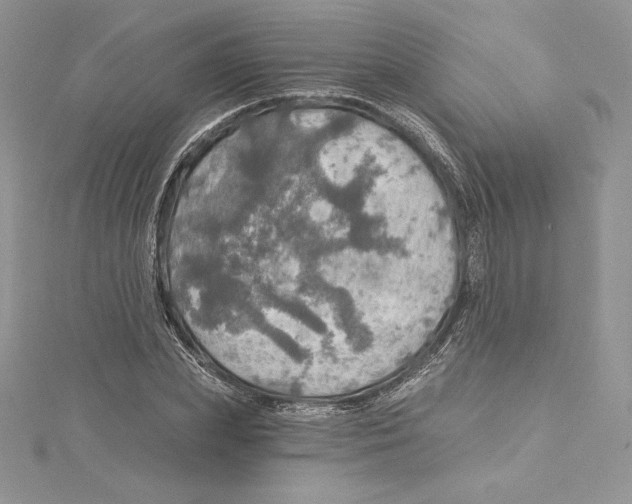 X0000114650831200911171048