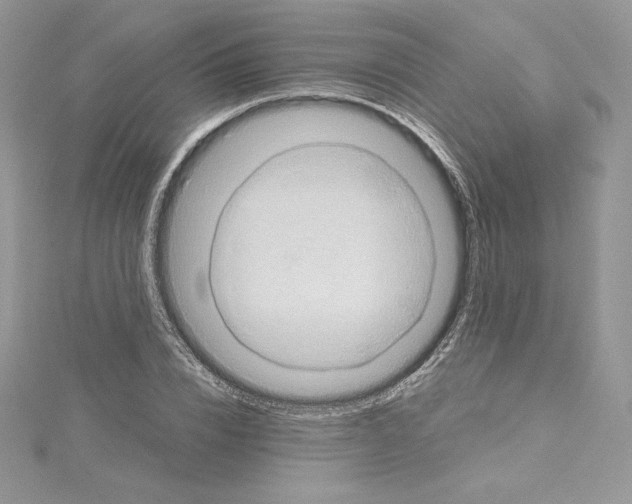 X0000114650832200911171048