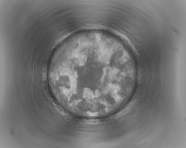 X0000114650833200911171048