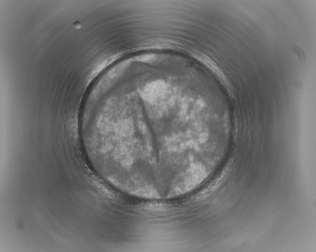 X0000114650834200911171048