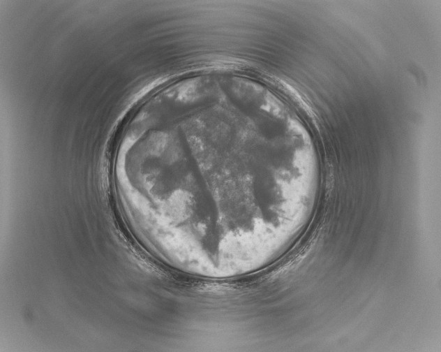 X0000114650835200911171048