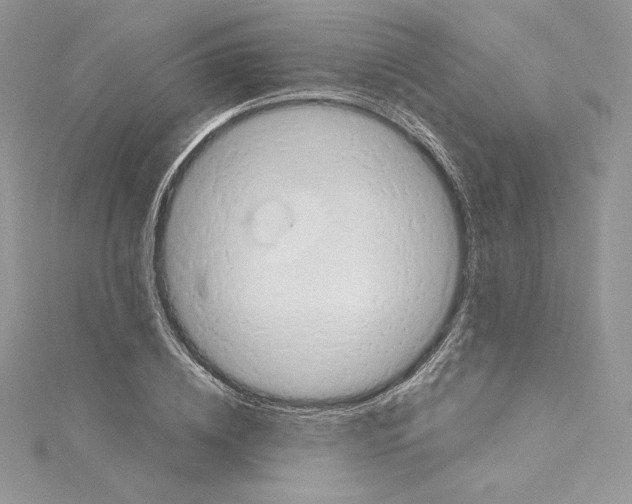 X0000114650836200911171048