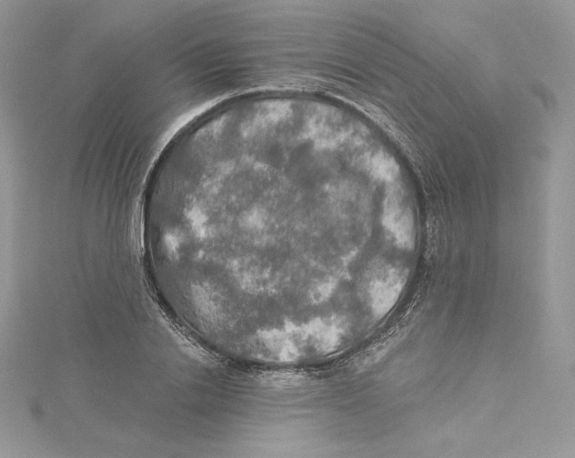 X0000114650838200911171048