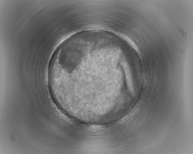 X0000114650839200911171048