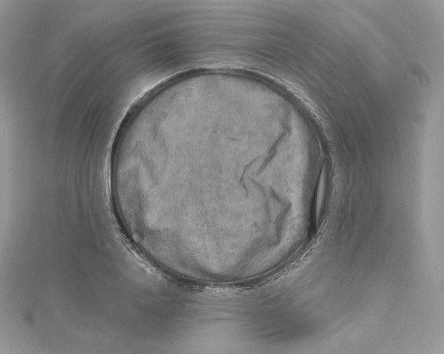 X0000114650840200911171048