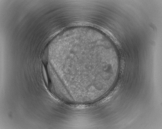 X0000114650841200911171048