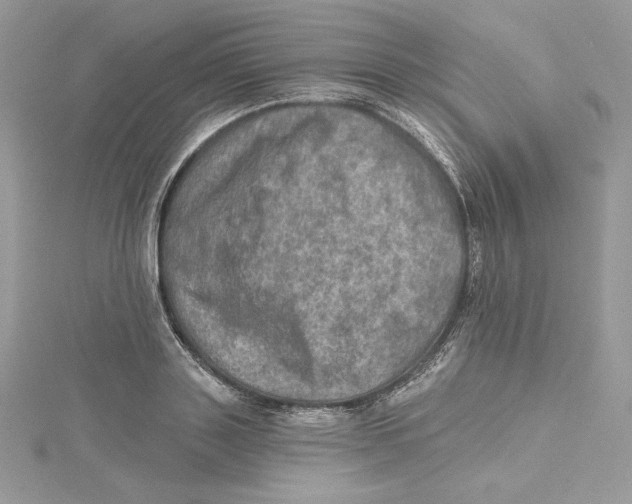 X0000114650843200911171048