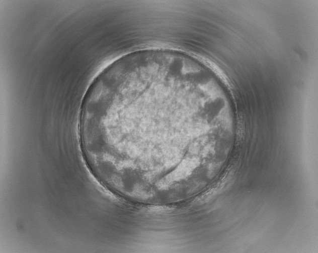 X0000114650847200911171048