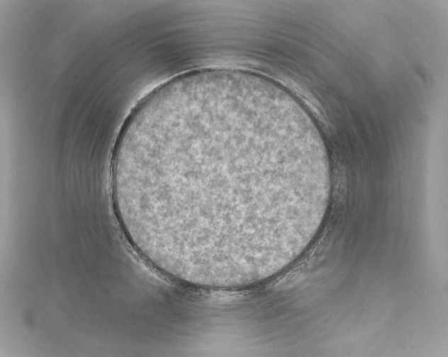 X0000114650848200911171048