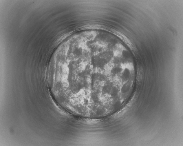 X0000114650849200911171048