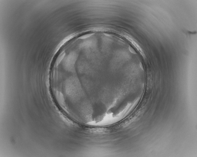 X0000114650853200911171048