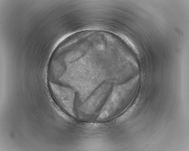 X0000114650854200911171048