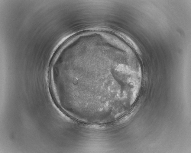 X0000114650855200911171048