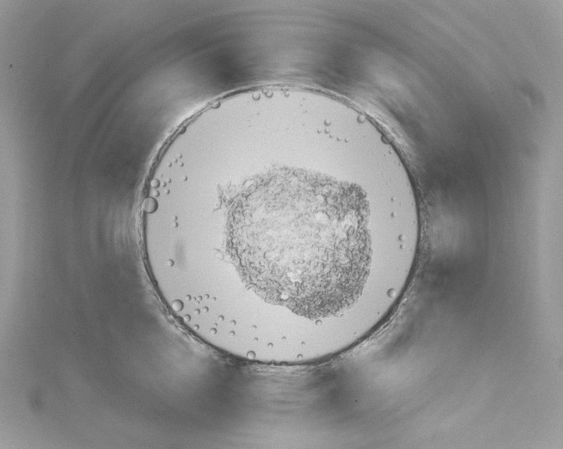 X0000114650856200911171048