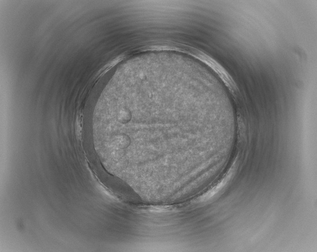 X0000114650857200911171048