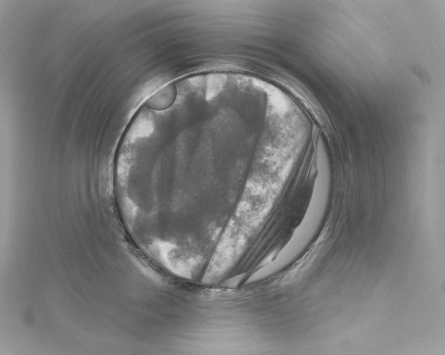 X0000114650858200911171048