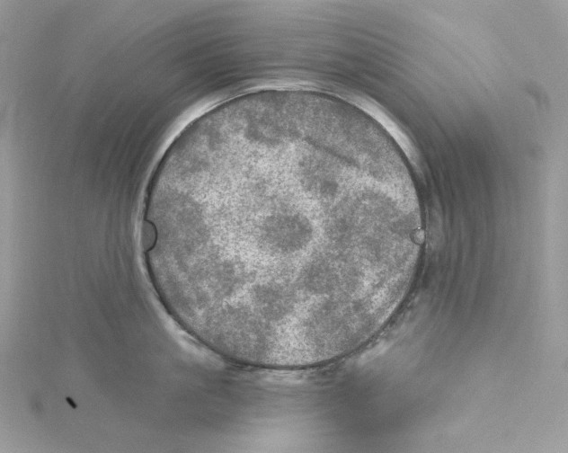 X0000114650861200911171049