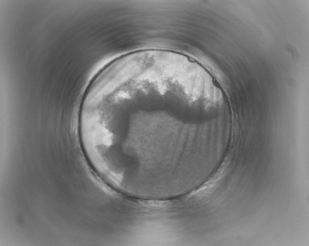 X0000114650862200911171049