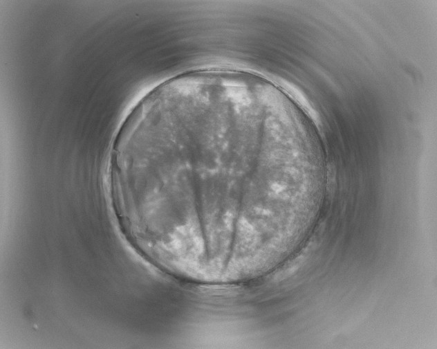 X0000114650863200911171049