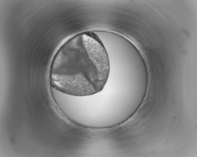 X0000114650864200911171049