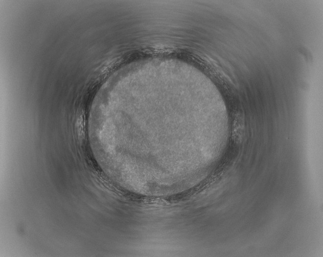 X0000114650866200911171048