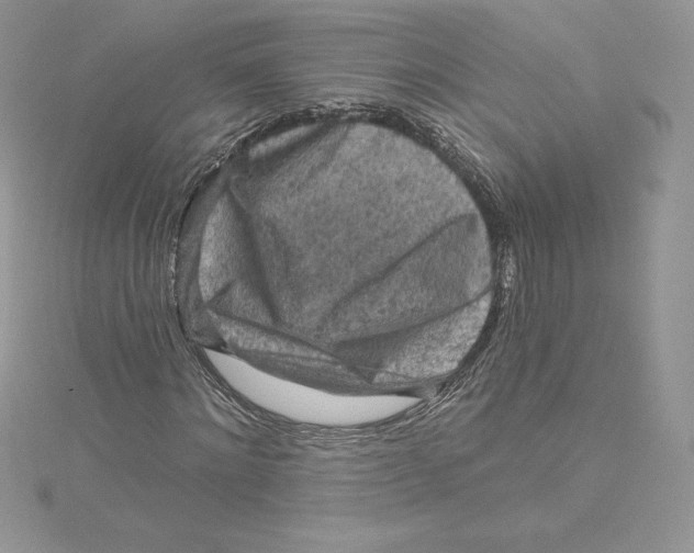 X0000114650868200911171048