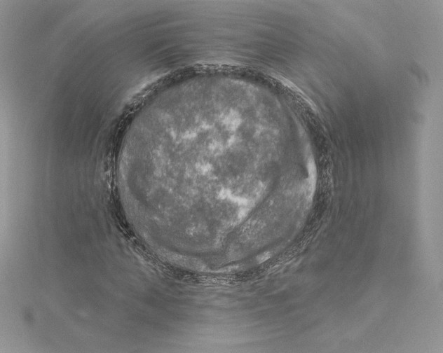 X0000114650870200911171048