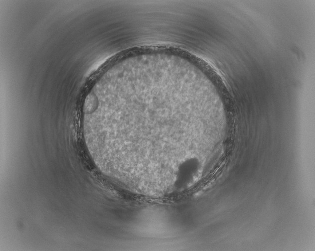 X0000114650871200911171048