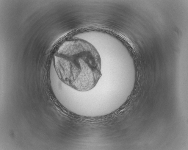 X0000114650872200911171048