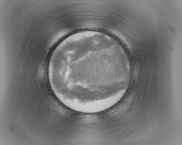 X0000114650874200911171048