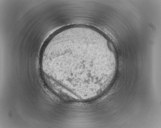 X0000114650880200911171048