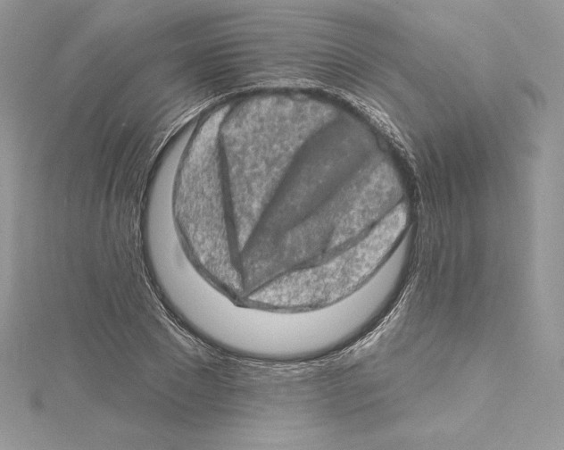 X0000114650881200911171048