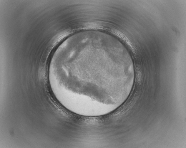 X0000114650882200911171048