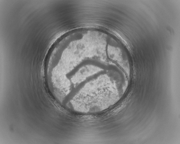 X0000114650883200911171048