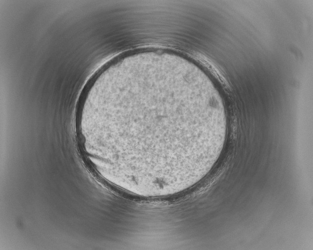 X0000114650884200911171048