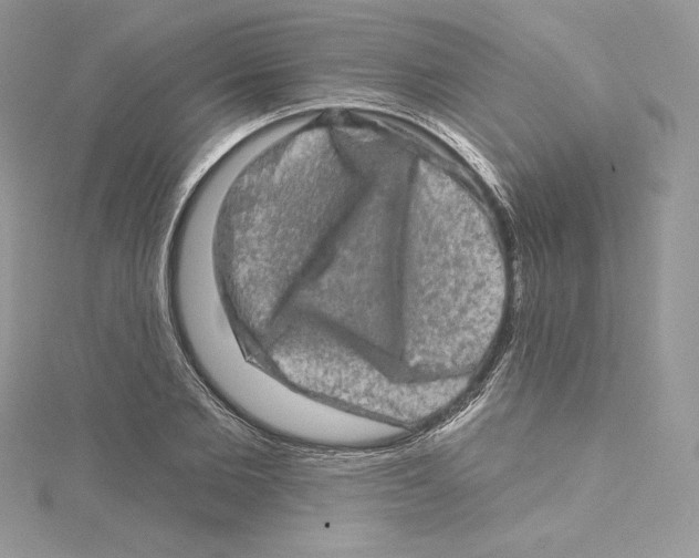 X0000114650885200911171048