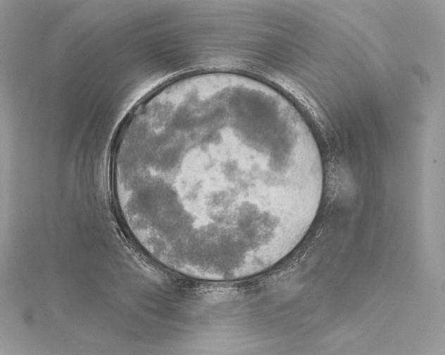 X0000114650886200911171048