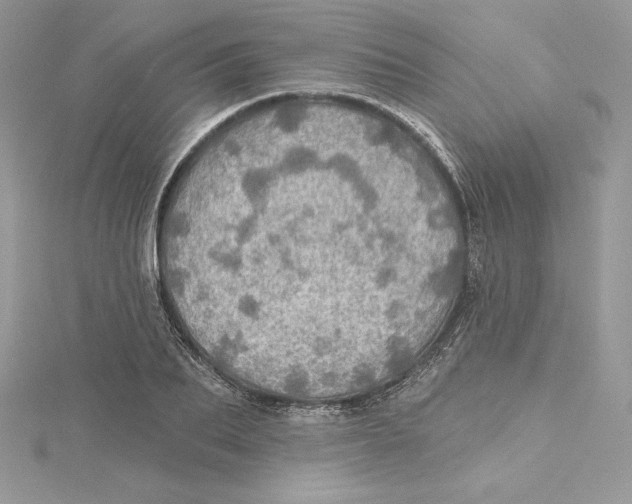 X0000114650887200911171048