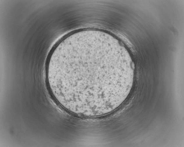 X0000114650888200911171048